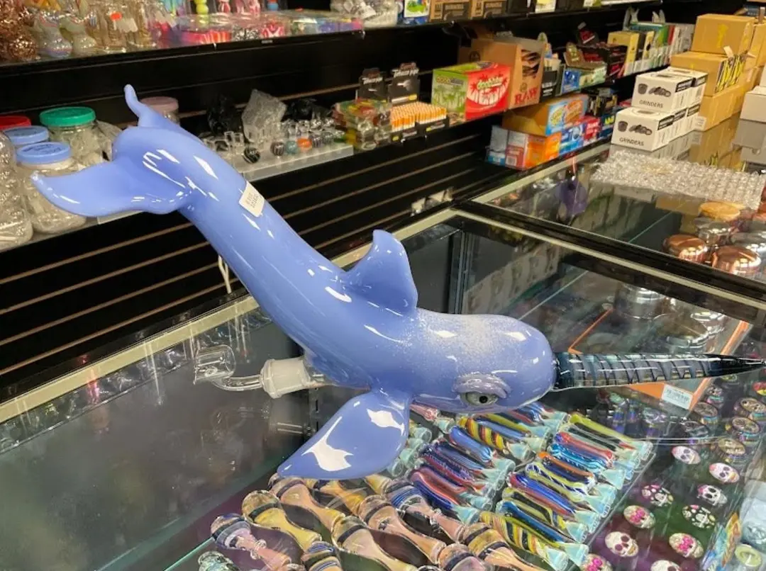 Blue shark-shaped glass water pipe on a shop counter